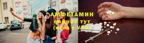 винт Дмитров