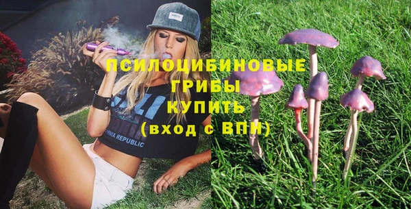 винт Дмитров