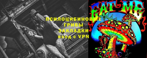 винт Дмитров