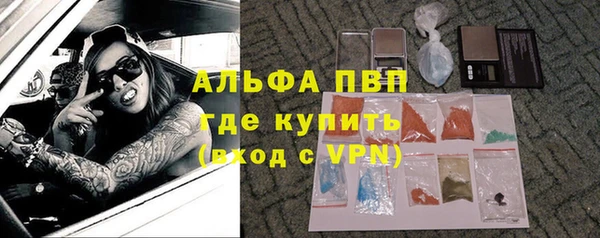 винт Дмитров