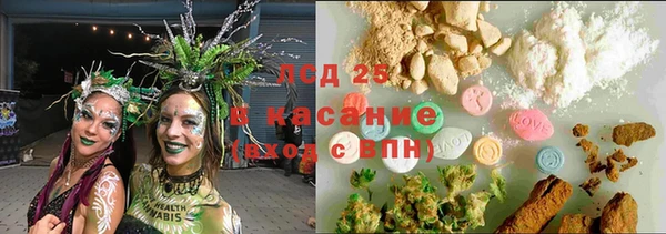 винт Дмитров