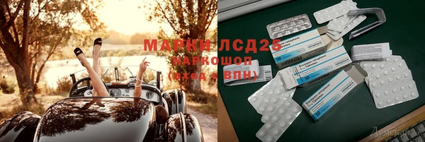 винт Дмитров